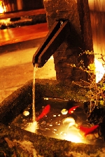 金魚の水鉢